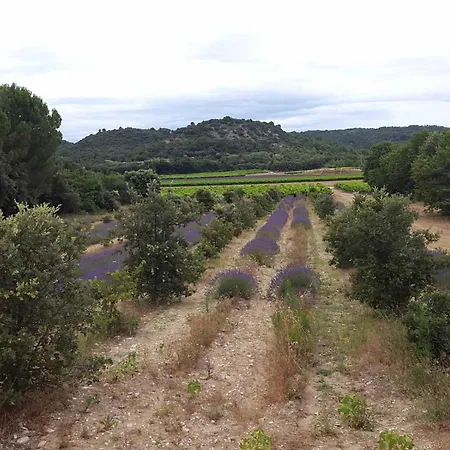 ベッド・アンド・ブレックファスト Hotes Jacuzzi Climatiseur Provence 3*