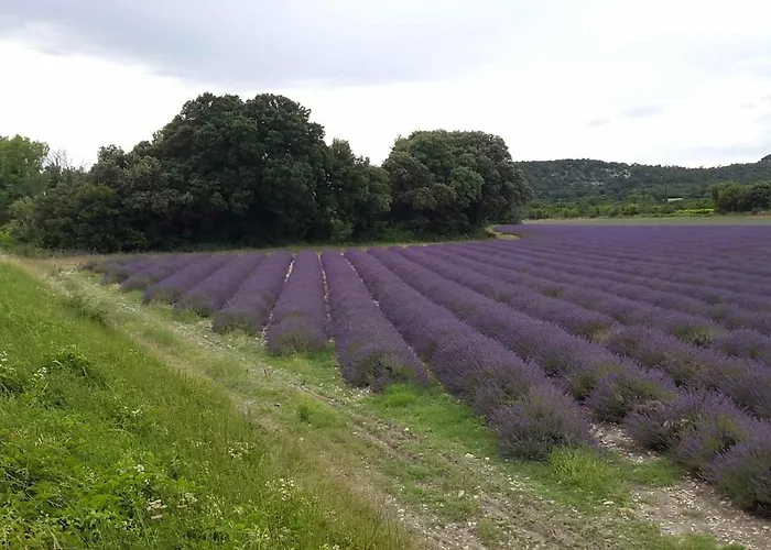 Hotes Jacuzzi Climatiseur Provence Bed and breakfast