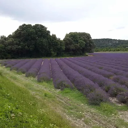 Hotes Jacuzzi Climatiseur Provence Panzió