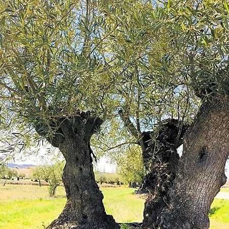 Alojamento de Acomodação e Pequeno-almoço Hôtes Jacuzzi Climatiseur Provence
